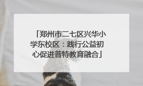 郑州市二七区兴华小学东校区：践行公益初心促进普特教育融合